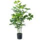 Decorative Plant Alexandra House Living Plastic Schefflera 90 cm