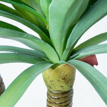 Decorative Plant Alexandra House Living Plastic Yucca 120 cm