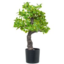 Decorative Plant Alexandra House Living Plastic Euonymus 45 cm