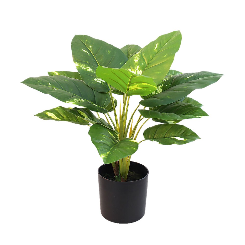 Decorative Plant Alexandra House Living Plastic 50 cm