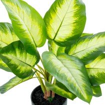 Decorative Plant Alexandra House Living Plastic Aglaonema 50 cm