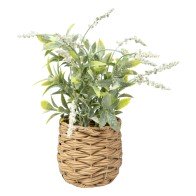 Decorative Plant Romimex...