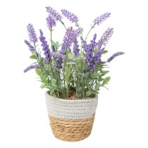 Decorative Plant Romimex...