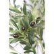 Decorative Tree Romimex Plastic Olive tree 80 x 160 x 80 cm