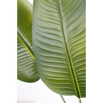 Decorative Plant Romimex Strelitzia Plastic 110 x 210 x 70 cm