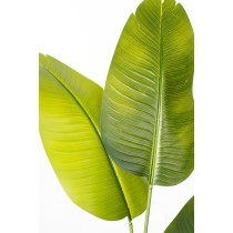 Decorative Plant Romimex Strelitzia Plastic 70 x 140 x 70 cm