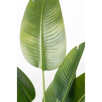 Decorative Plant Romimex Strelitzia Plastic 75 x 110 x 75 cm