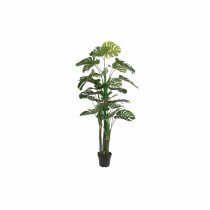 Decorative Plant DKD Home...