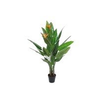 Decorative Plant DKD Home Decor PVC Plastic 100 x 100 x 145 cm