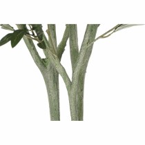 Tree DKD Home Decor Polyester polypropylene Olive tree 80 x 80 x 180 cm (80 x 80 x 180 cm)