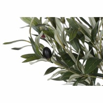 Tree DKD Home Decor Polyester polypropylene Olive tree 80 x 80 x 180 cm (80 x 80 x 180 cm)