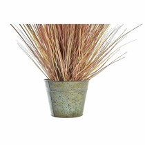 Decorative Plant DKD Home Decor Orange Polyethylene Burgundy Brass 20 x 20 x 90 cm (2 Units)