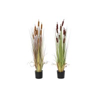 Decorative Plant DKD Home...