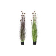 Decorative Plant DKD Home...