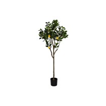 Tree DKD Home Decor Lemon tree Polyester (74 x 74 x 150 cm)