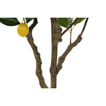 Tree DKD Home Decor Lemon tree Polyester (74 x 74 x 150 cm)