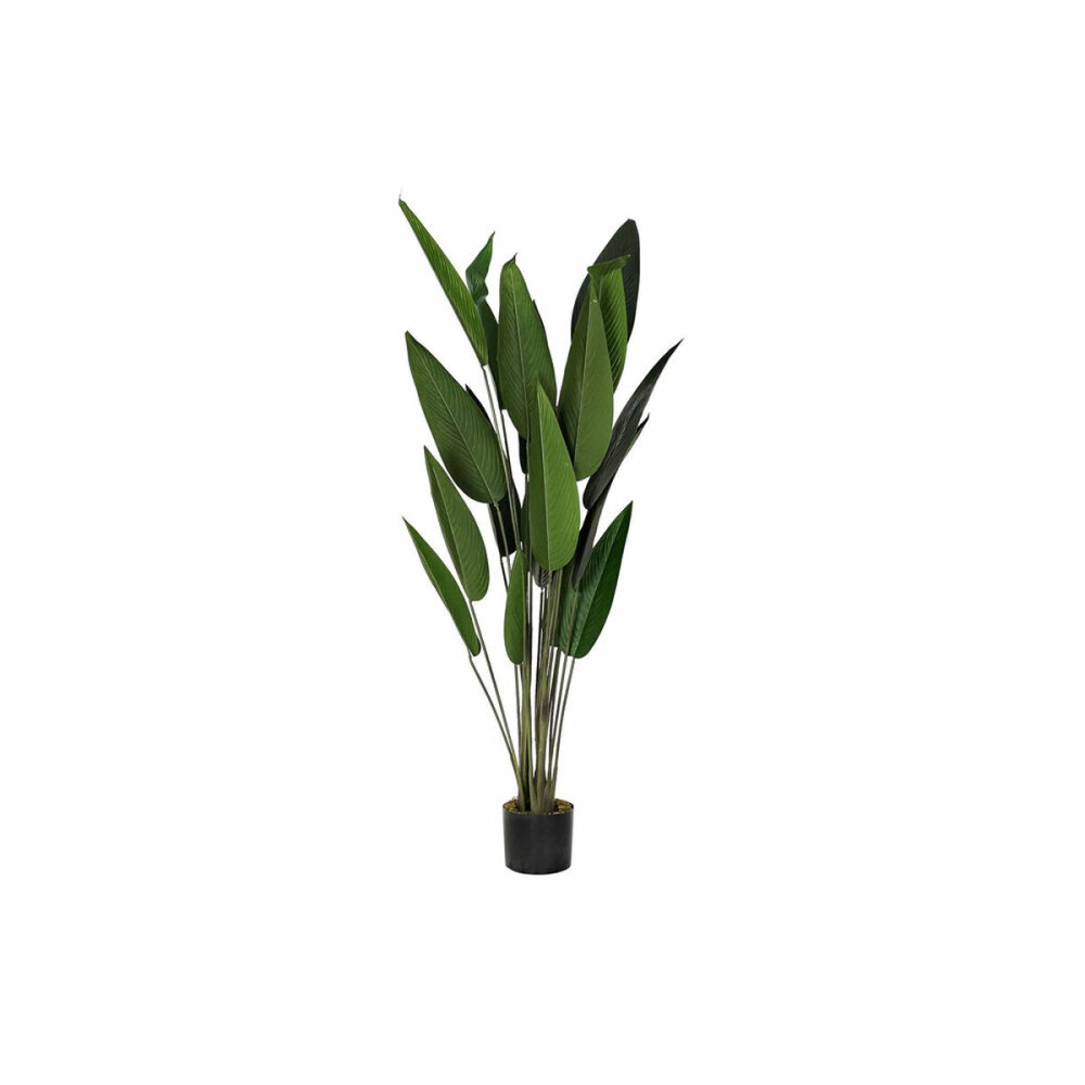 Decorative Plant DKD Home Decor 50 x 50 x 160 cm Polyethylene Green Bird of paradise Urban