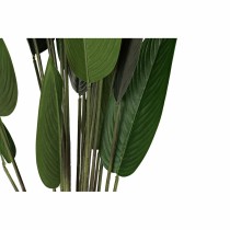 Decorative Plant DKD Home Decor 50 x 50 x 160 cm Polyethylene Green Bird of paradise Urban