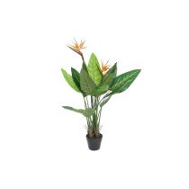 Decorative Plant DKD Home...