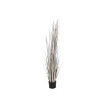 Decorative Plant DKD Home Decor Rushes (45 x 45 x 150 cm)