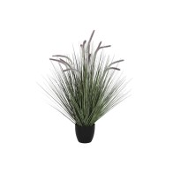 Decorative Plant DKD Home...