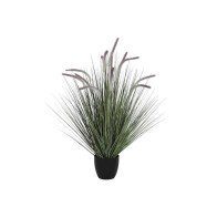 Decorative Plant DKD Home...