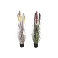 Decorative Plant Home...