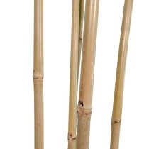 Tree Home ESPRIT Polyester Bamboo 80 x 80 x 180 cm