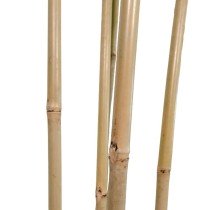 Tree Home ESPRIT Polyester Bamboo 80 x 80 x 180 cm