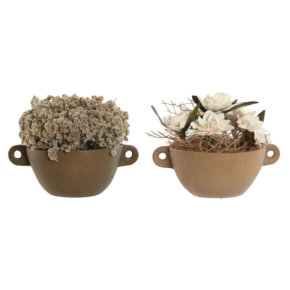 Decorative Plant Home ESPRIT Flower 22 x 22 x 14 cm (2 Units)