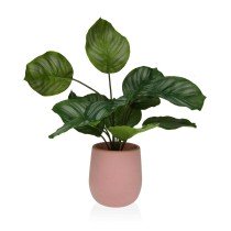 Decorative Plant Versa 15 x...