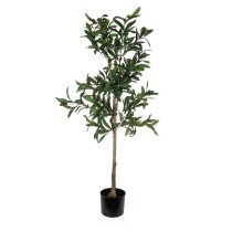 Decorative Plant Versa...