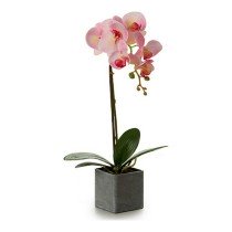 Decorative Plant Orchid 15...