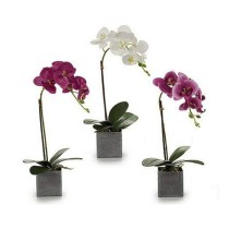 Decorative Plant Orchid 15 x 43 x 18 cm Plastic