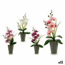 Decorative Plant Orchid...