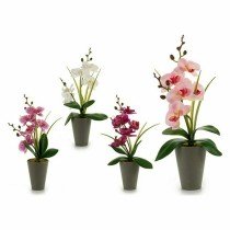 Decorative Plant Orchid Plastic 8 x 35 x 14 cm (12 Units)