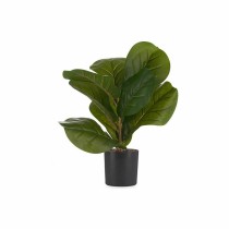 Decorative Plant 9,5 x 42 x 9,5 cm Plastic 6 Units