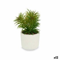 Decorative Plant White...