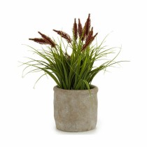 Decorative Plant Ear (of wheat) Plastic 12 x 30 x 12 cm (8 Units)