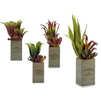 Decorative Plant Flowers Garden Brown Green 10 x 50 x 10 cm (4 Units)