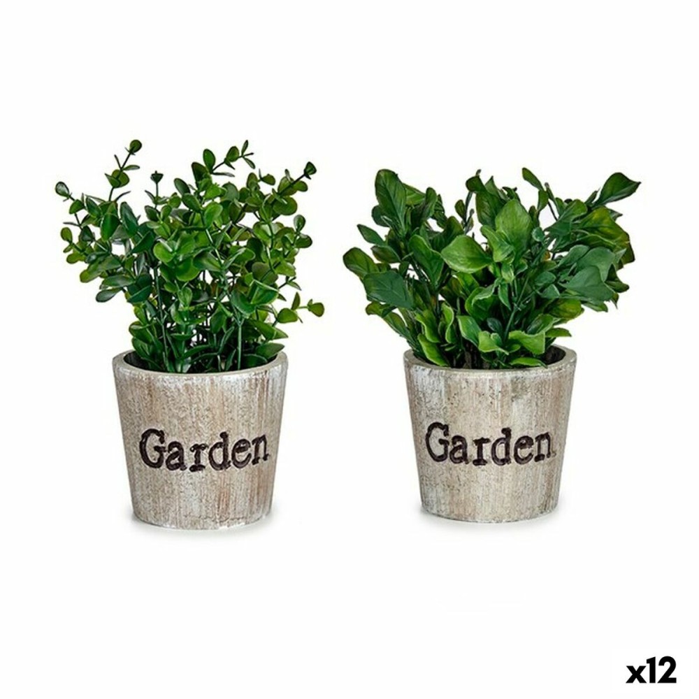 Decorative Plant Plastic 16 x 22 x 16 cm (12 Units)