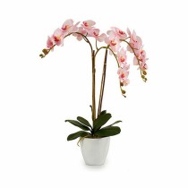 Decorative Plant Orchid Plastic 40 x 77 x 35 cm (2 Units)