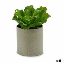 Decorative Plant 20 x 25 x...