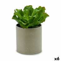 Decorative Plant 20 x 25 x...