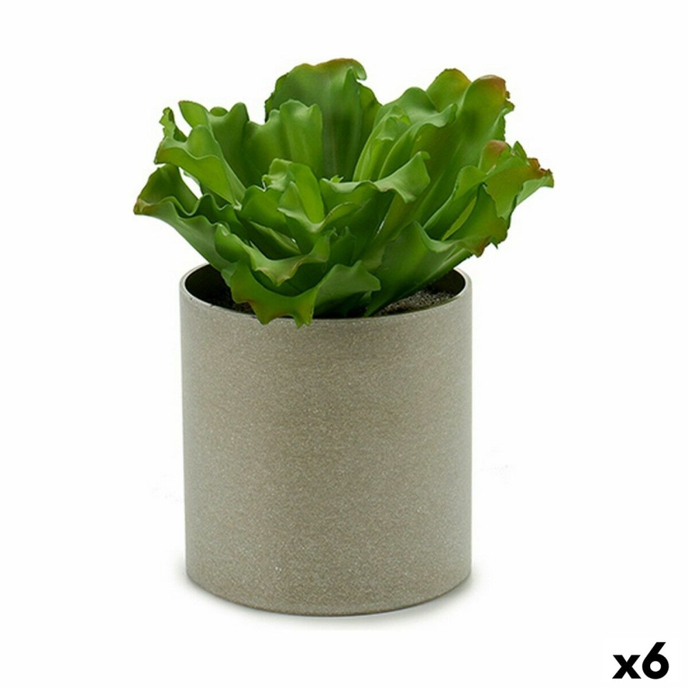 Decorative Plant 20 x 25 x 20 cm (6 Units)