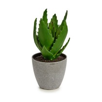 Decorative Plant Aloe Vera 14 x 21 x 14 cm Grey Green Plastic (6 Units)