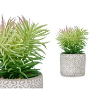 Decorative Plant Succulent Wood Plastic 12 x 22 x 12 cm (8 Units)