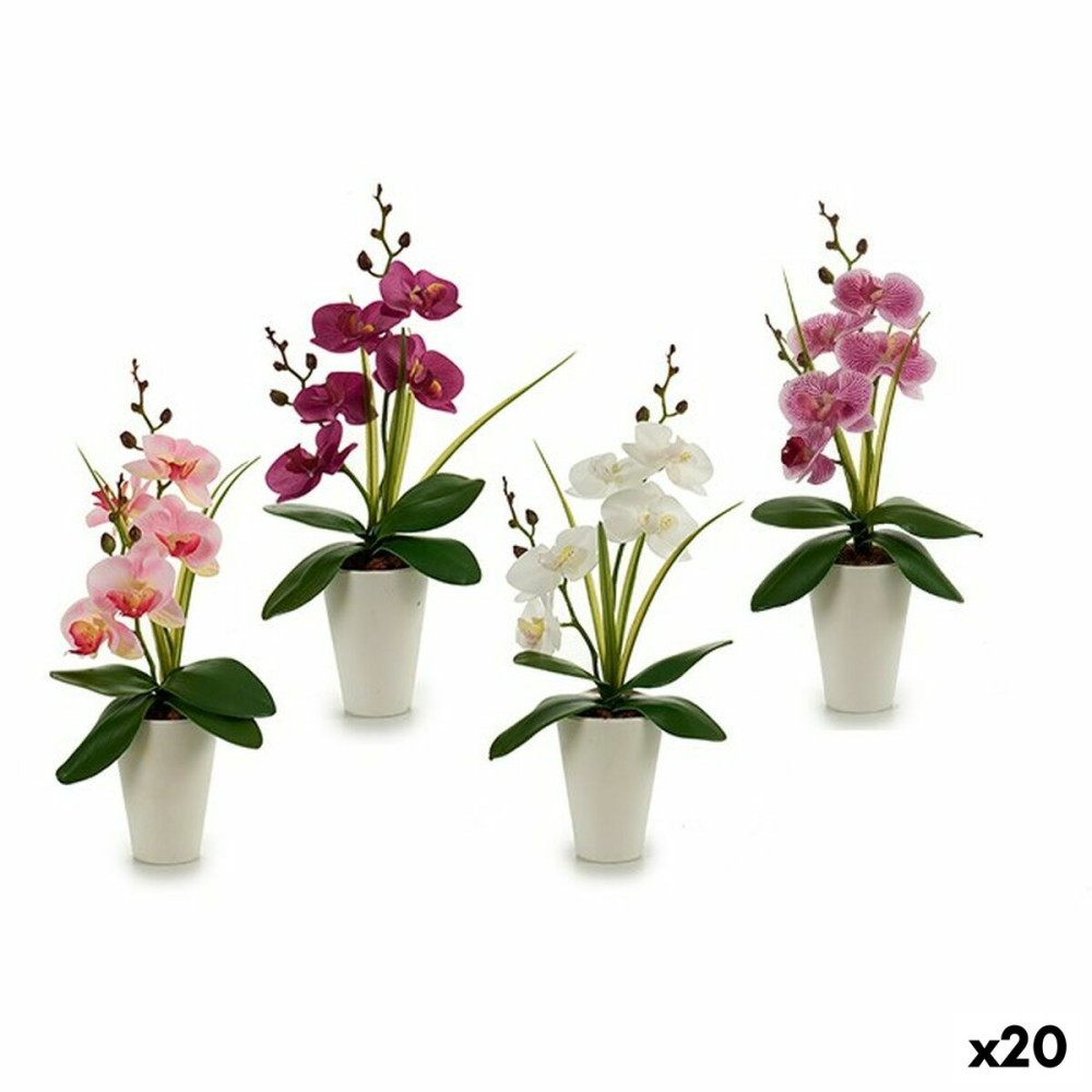 Decorative Flower Orchid Plastic 14 x 35 x 8 cm (12 Units)