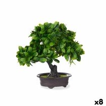 Decorative Plant Bonsai...