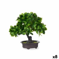 Decorative Plant Bonsai...